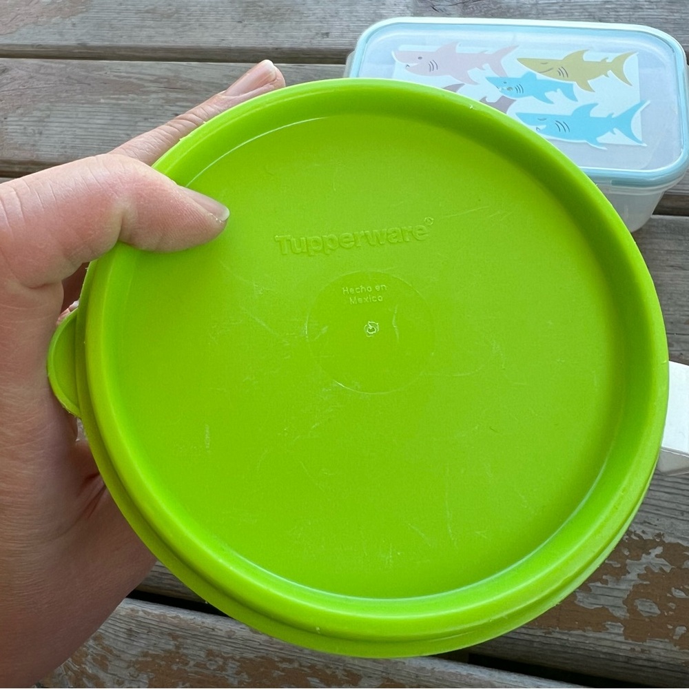 Bento Box Container Lot - 3 Count - Picture 2 of 7
